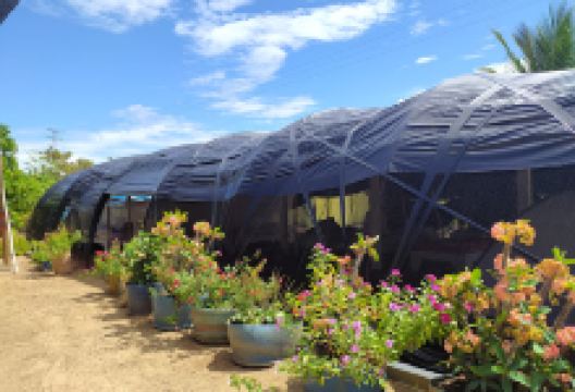 Posada Mi Vichada景点图片