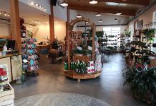 Deluxe Landscape Supply and Garden Centre购物图片