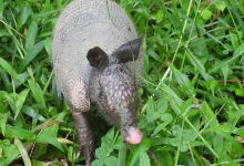 Café Río Lejos景点图片