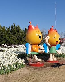Sinan Tulip Festival-新安郡