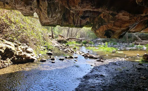 Natural Bridges Trailhead