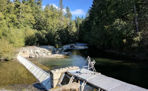 Little Qualicum River Fish Hatchery