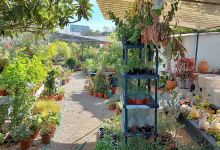 Garden Graça购物图片