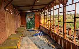 Kampung alami