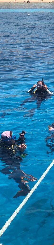 穆罕默德国家公园-Qesm Sharm Ash Sheikh