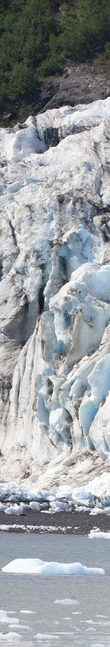 Kenai Fjords Tours-西沃德