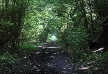 Upton Country Park景点图片