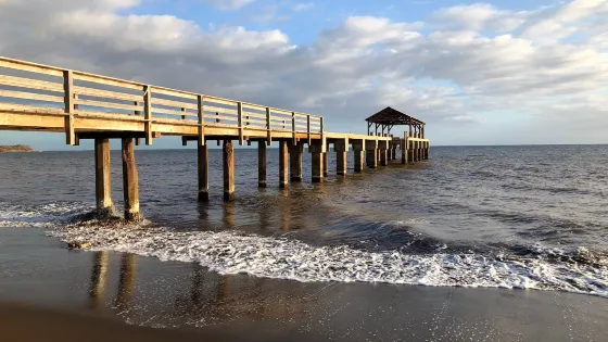 Waimea Pier