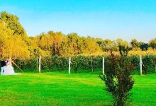 Wight - Meyer Vineyard & Winery景点图片