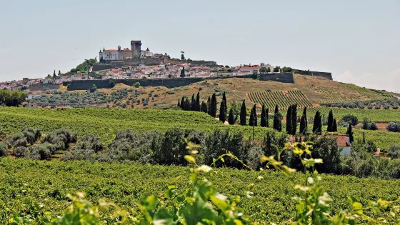 Joao Portugal Ramos Wines