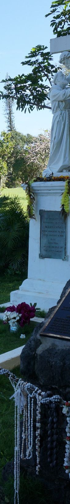 卡劳帕帕国家历史公园-卡拉瓦奥县