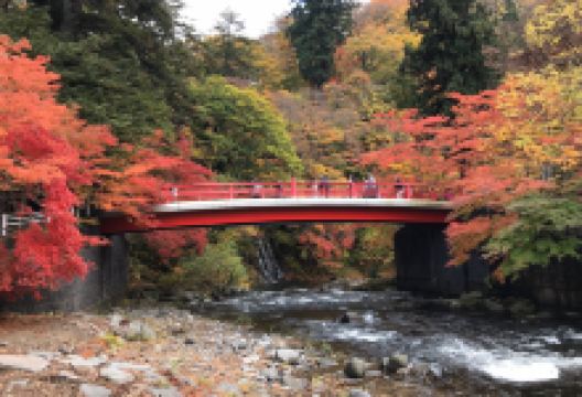 Nakano Momijiyama景点图片