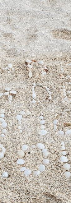 Dickenson Bay-迪肯森湾