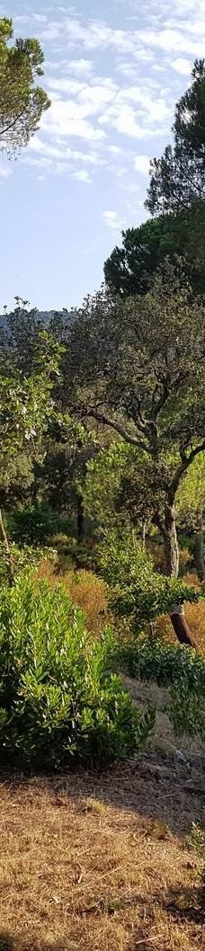 Parc de Valmy-滨海阿热莱斯