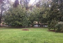 Buninyong Botanical Gardens景点图片