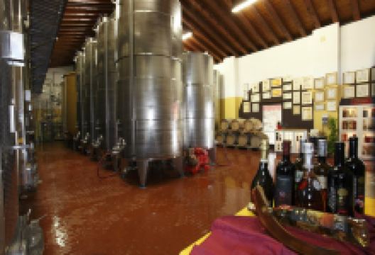 Azienda Agricola Luigino Molon景点图片