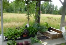 Gamla Staberg景点图片