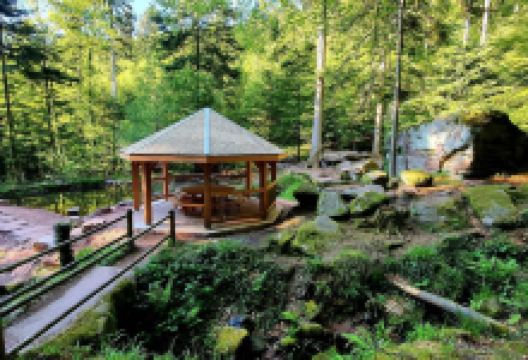 Cascade des Molieres景点图片