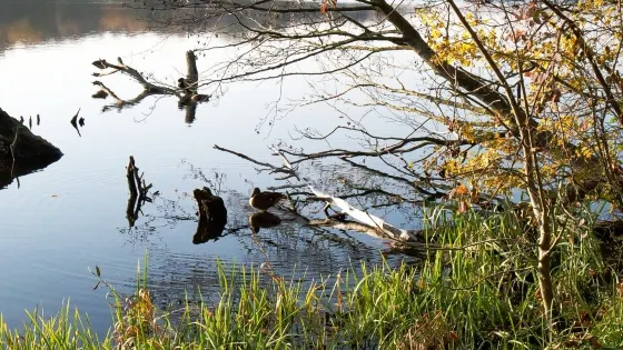 Rusalka Lake