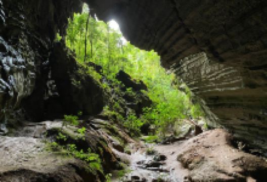 Cachoeira do Couto景点图片