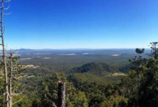 Mount Bauple National Park景点图片