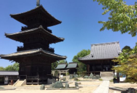 余庆寺景点图片