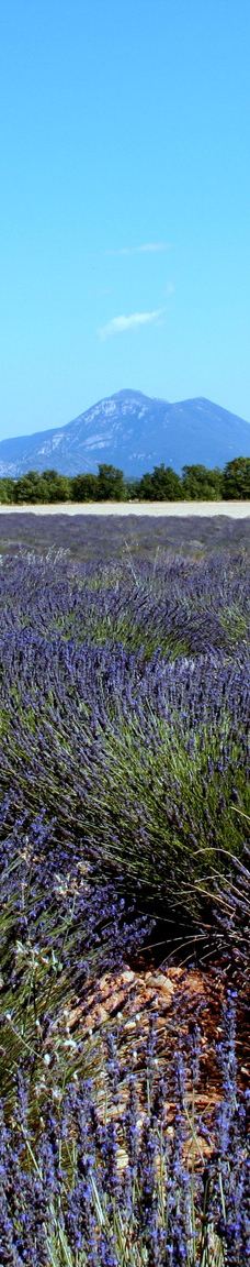 瓦朗索尔高原-瓦朗索勒