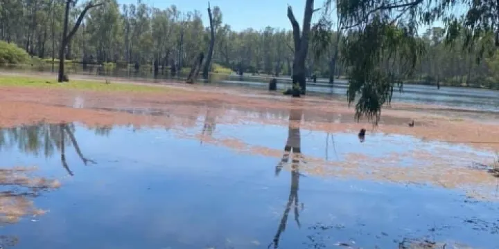Lower Ovens Wildlife Reserve