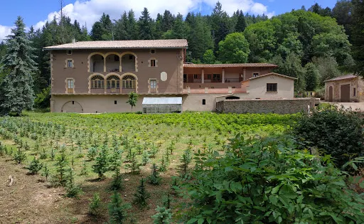 Masjoan