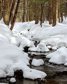 Jones Park-维斯塔