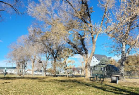 Lion's Park景点图片