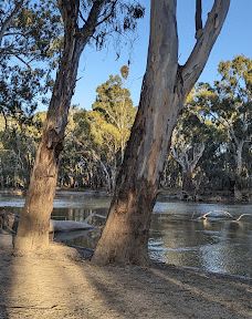 Balranald Caravan Park-巴尔兰纳德