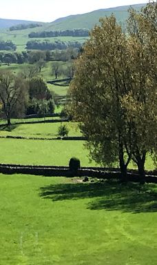 Wood Nook Caravan Park-斯基普顿