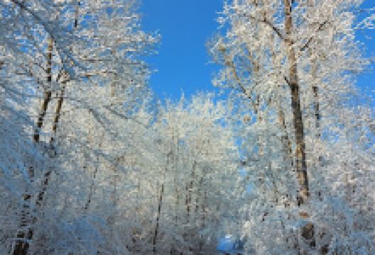 Kern Kraft Mostviertel景点图片