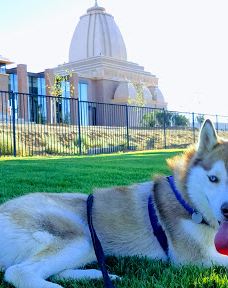 Forest E. Hull Park-兰开斯特