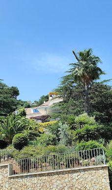 Jardí Botànic Tropical Paratge Pinya de Rosa-布拉内斯