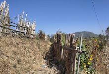 Lopse Marpa toll景点图片