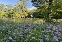 Sideling Hill State Forest Picnic Area景点图片