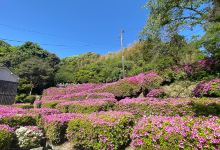 専称寺景点图片