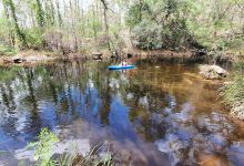 Emu Creek Retreat景点图片