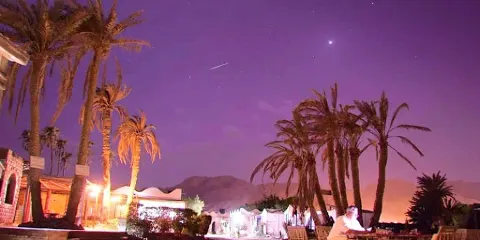 哈比巴有機農場農家樂