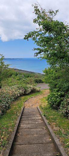 Hamadate Park-由利本庄市