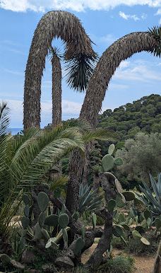 Jardí Botànic Tropical Paratge Pinya de Rosa-布拉内斯