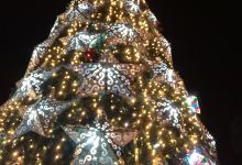 City of Santa Rosa People's Park景点图片