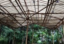 KMCI Gantangan Burung景点图片