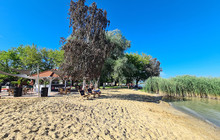 Viviera Beach餐厅图片