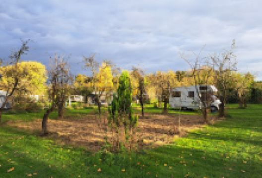 Phillimore Garden Centre购物图片