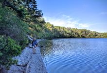 Hawksnest State Park景点图片