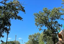 Veterans Memorial Park景点图片