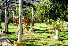 Centro Recreativo Kepal Ltda.景点图片